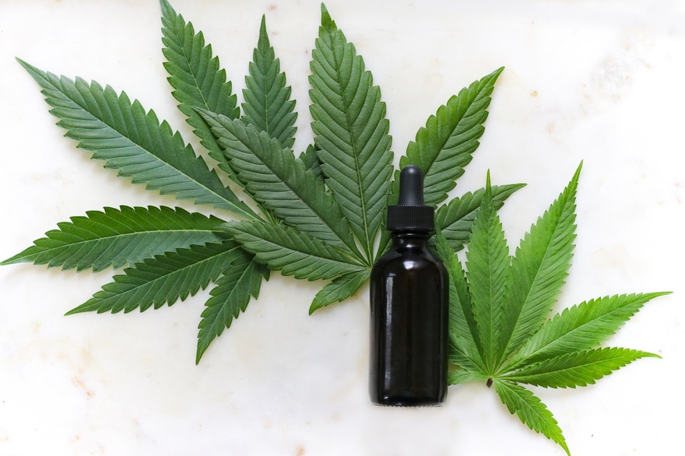 Liberação de venda da maconha medicinal reduz preço no Brasil, diz pioneira da importação